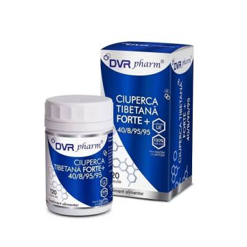 Ciuperca Tibetana Forte, 120 capsule, DVR Pharm