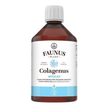Colagenus articulatii, 500 ml, Faunus