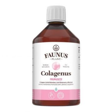 Colagenus frumusete, 500 ml, Faunus