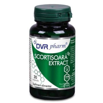 Scortisoara Extract 30 capsule - DVR Pharm