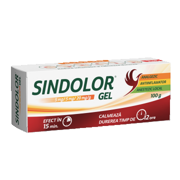 Sindolor gel 100 g Fiterman Pharma