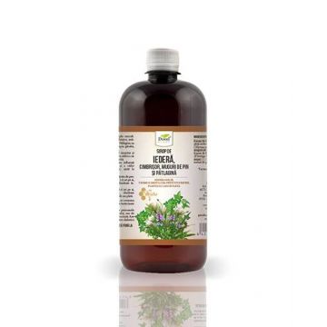 Sirop de iedera, cimbrisor, muguri de pin, patlagina si miere, 200 ml, Dorel Plant