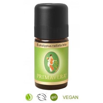 Ulei esential cu eucalipt australian Radiata Eco-Bio 5ml - Primavera Life