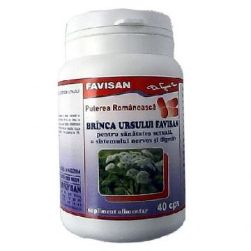 Branca Ursului 40cps Favisan