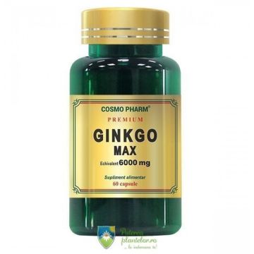 Ginkgo Max Extract 120mg Premium 60 capsule