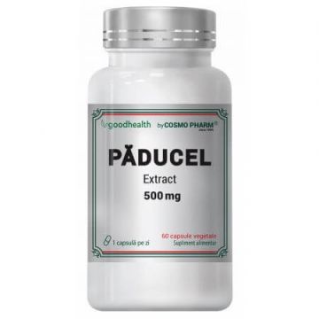 Paducel Extract, 500 mg, 60 capsule, Cosmo Pharma