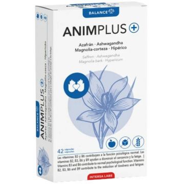 Animplus 42 capsule - Intersa Labs