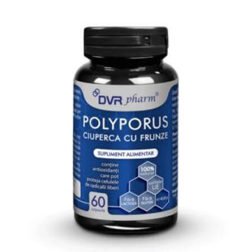 Polyporus Ciupera cu Frunze, 60 capsule, DVR Pharm