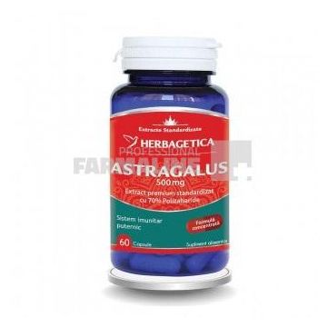 Astragalus 500 mg 60 capsule