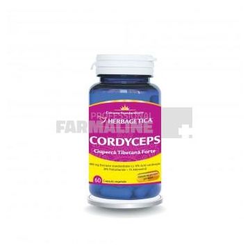 Cordyceps 10/30/1 Ciuperca Tibetana Forte 60 capsule