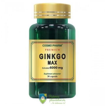 Ginkgo Max Extract 120mg Premium 30 capsule