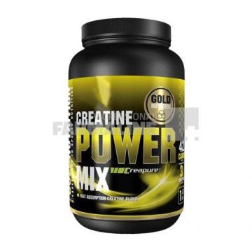 GoldNutrion Creatine Power Mix Mango 1000 g