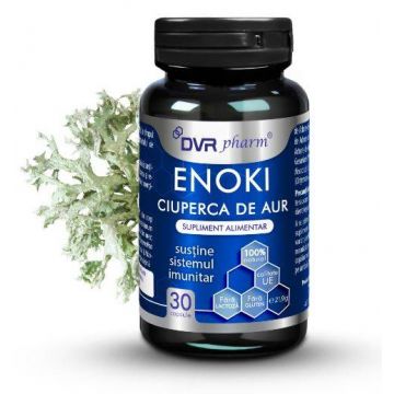 Enoki, Ciuperca de aur 30 capsule - DVR Pharm