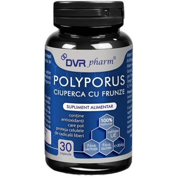 Polyporus – Ciuperca Cu Frunze – 30 de capsule