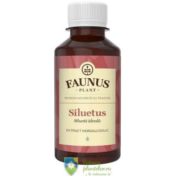 Tinctura Siluetus 200 ml