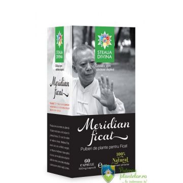 Meridian Ficat 60 capsule