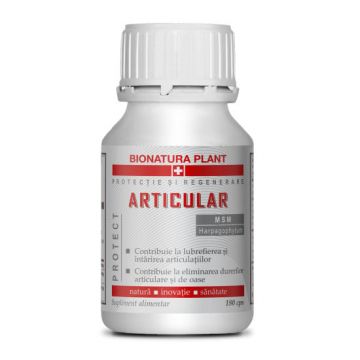 Articular Protect - 180 cps