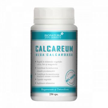 Calcareum