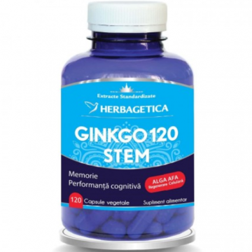 Ginkgo 120 Stem 120cps Herbagetica