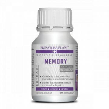 Memory