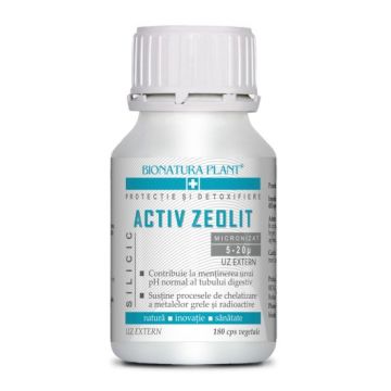 Activ Zeolit Silicic