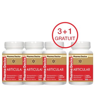 Articular Protect 3+1 Gratuit, 60 capsule x 4