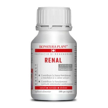 Renal