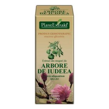 ARBORE DE IUDEEA - muguri - 50ml - PlantExtrakt