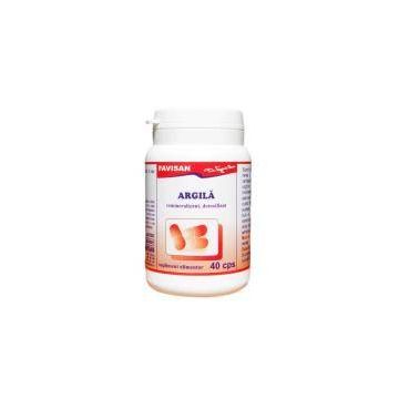 Argila 400mg - 40 cps - Favisan