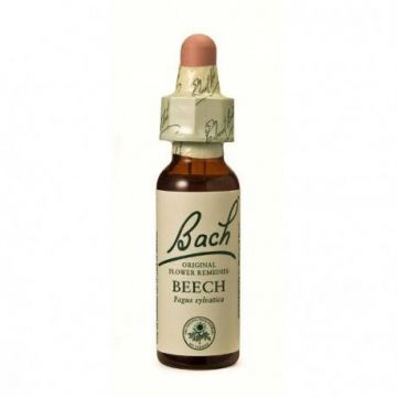 Beech - Fag (Bach3) 20ml - Remediu Floral Bach