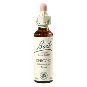 Chicory - Cicoare (Bach8) 20ml - Remediu Floral Bach
