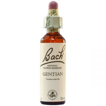 Gentian - Gentiana (Bach12) 20ml - Remediu Floral Bach