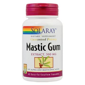 MASTIC GUM 500mg - SOLARAY - SECOM