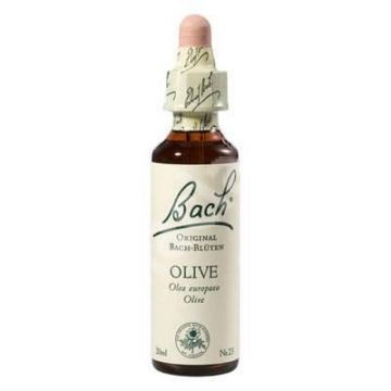 Olive - Maslin (Bach23) - Remediu Floral Bach