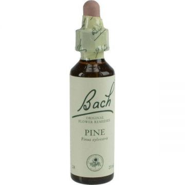 Pine - Pin (Bach24) 20ml - Remediu Floral Bach