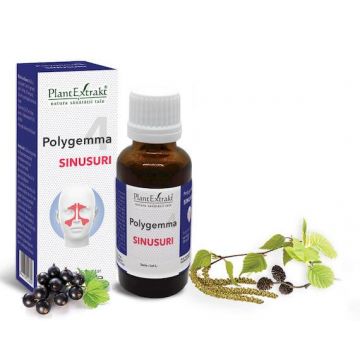 Polygemma 4 - Sinusuri 30ml Plantextrakt