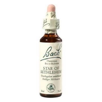 Star of Bethlehem - Balusca (Bach29) 20ml - Remediu Floral Bach