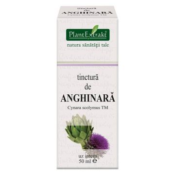 Tinctura de ANGHINARA - 50ml - PlantExtrakt