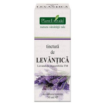 Tinctura de LEVANTICA - 50ml - PlantExtrakt