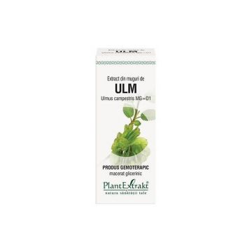 ULM - muguri - gemoderivat - 50ml - PlantExtrakt