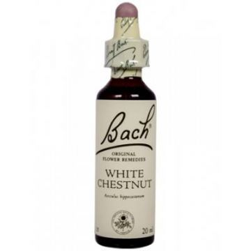 White chestnut - Castan alb (Bach35) 20ml - Remediu Floral Bach